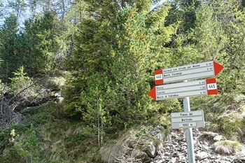 350 morti1 DSC00315
