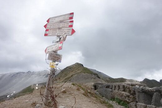 520px DSC04245