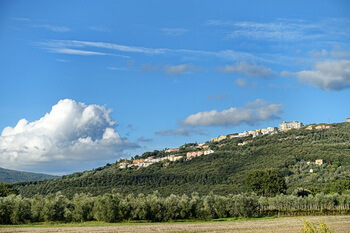 350 DSC02559